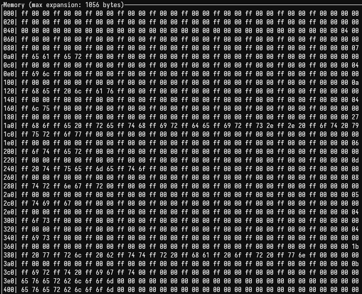 Final memory layout for instruction mapping